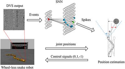 Retina-Based Pipe-Like Object Tracking Implemented Through Spiking Neural Network on a <mark class="highlighted">Snake Robot</mark>